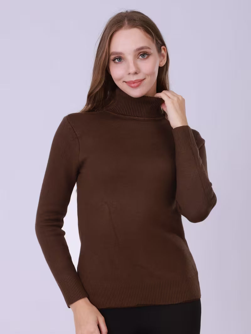 Women's Turtleneck Pullover · Winter Warm Lined Knitted Jumper